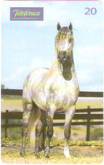 SP-0194 - Andaluz é Raça